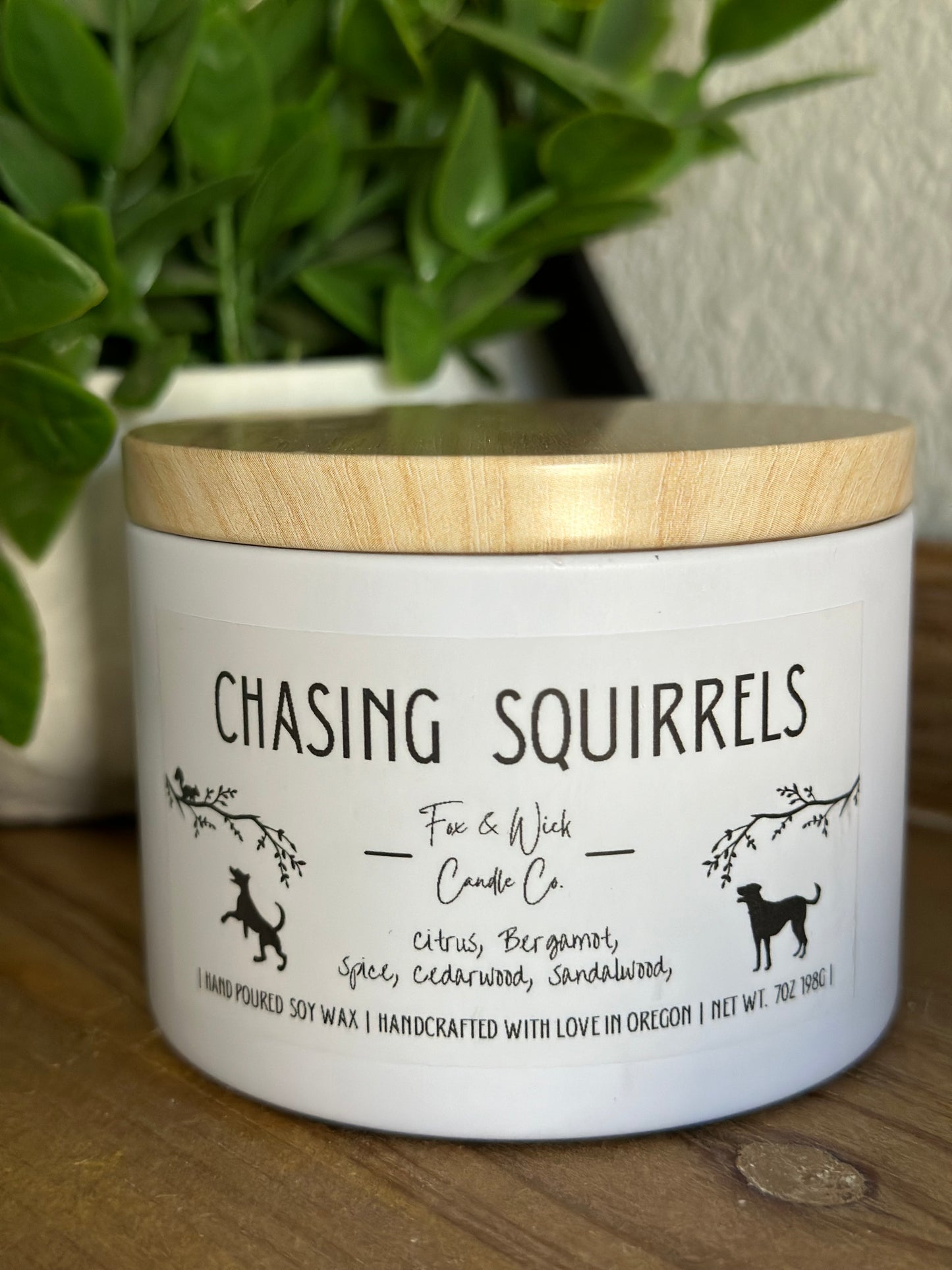 Chasing Squirrels Candle