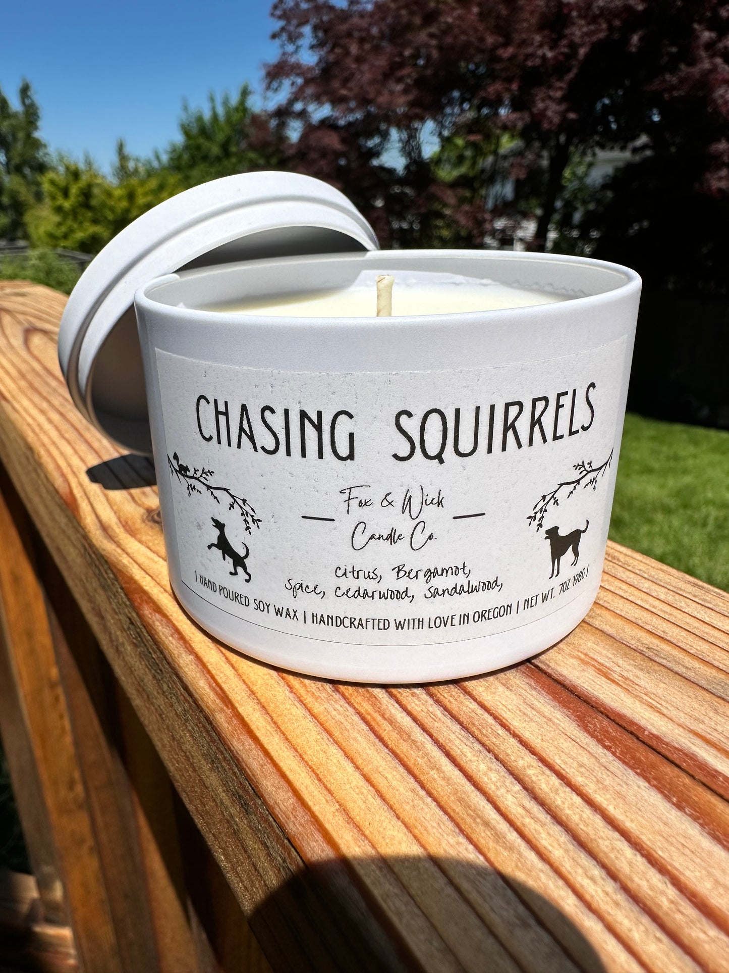 Chasing Squirrels Candle