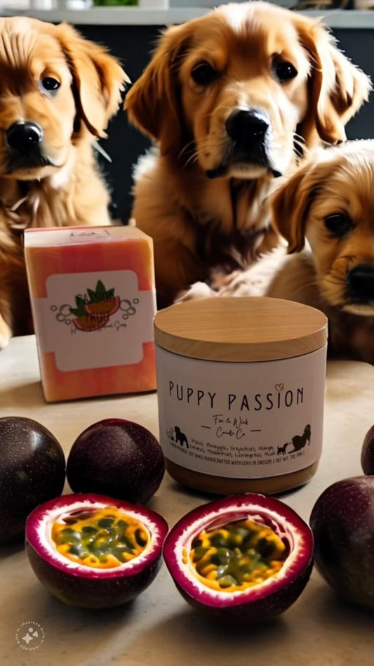 Passionfruit Puppy Candle + Soap Duo